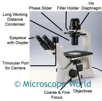 Microscope World Blog: Inverted Biological Microscopes