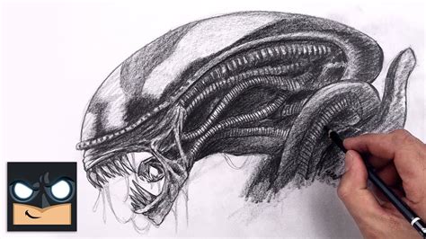 Xenomorph Head Drawing