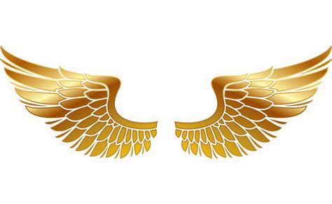 Download Transparent Golden Wings Png Transparent Image - Wings Of Fire ...