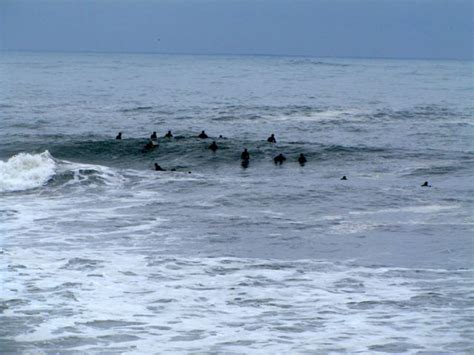 Winter Surf at Jenness State Beach - NH State Parks