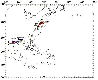 Critical Habitat of White Marlin (North Atlantic)