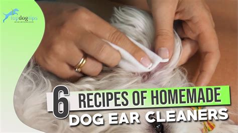 How To Make Your Own Dog Ear Cleaner