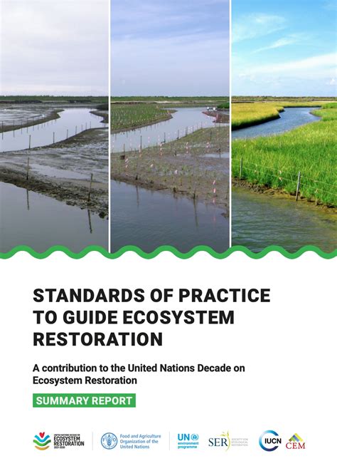 Standards of practice to guide ecosystem restoration - SUMMARY REPORT | UN Decade on Restoration