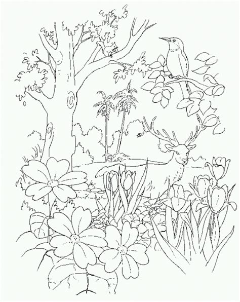 garden of eden colouring - Clip Art Library