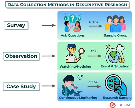 What is Descriptive Research? Examples & Detailed Case Study