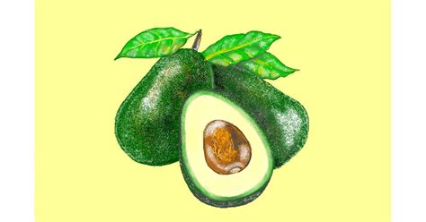 Drawing of Avocado by GJP - Drawize Gallery!