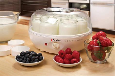 Top 10 Best Yogurt Maker Machines in 2023 - Buyer's Guide