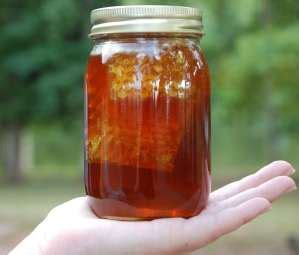 Local Honey for Allergies - Gardening Channel