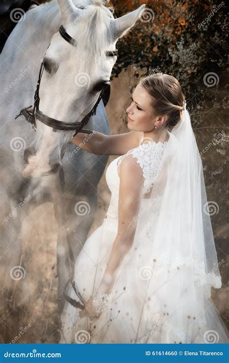 Wedding. Bride with White Horse. Stock Photo - Image of love, celebrate: 61614660