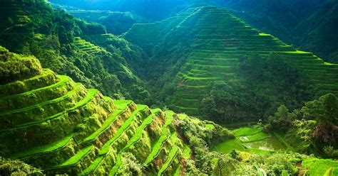 cordillera-rice-terraces-03-25-2021 - Tripzilla Philippines