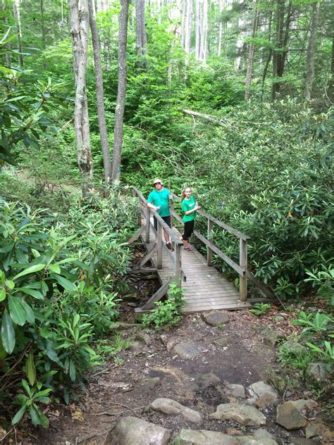 Pase Point Trail via Dobbin House Trail. Trailhead at Pendleton Lake, Blackwater Falls State ...