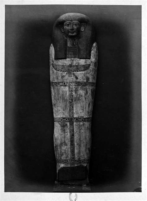 Mummy of Thutmose II - Egypt Museum