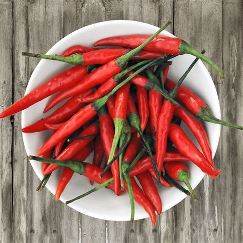 Spicy Thai Chili - Aria Art