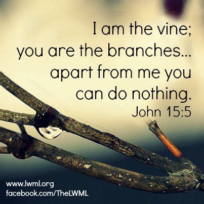 I am the vine; you are the branches ... apart from me you can do nothing. John 15:5 | Bible ...