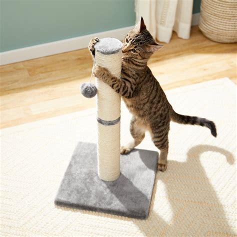 FRISCO 21-in Sisal Cat Scratching Post with Toy, Gray - Chewy.com