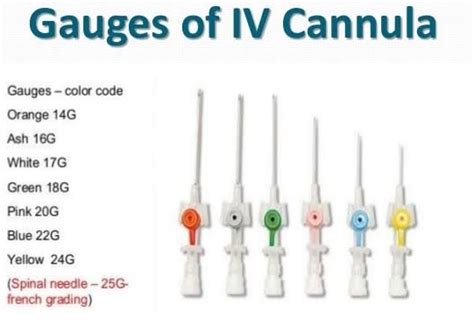 Iv Catheter Color Chart