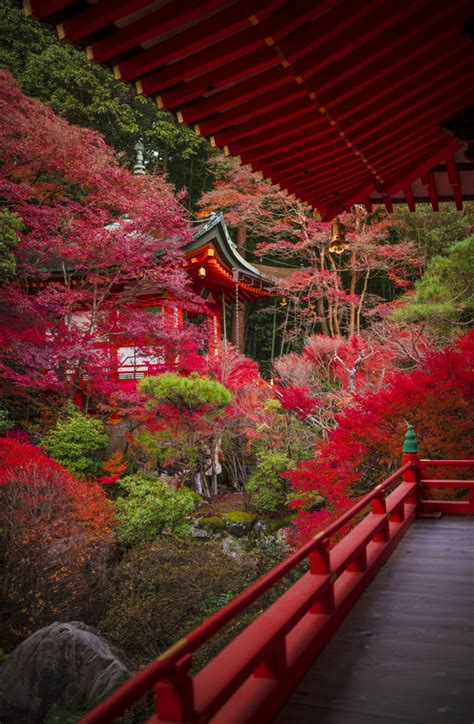 Top 10 Fall Colors Spots in Kyoto, Japan - Travel Caffeine