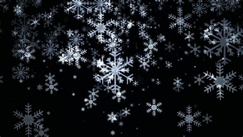 Snowflakes Falling On Black Background Stock Footage Video (100% ...