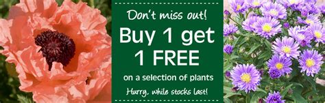 Buy Plants, Seeds, Fruit Trees & Seed Potatoes | Thompson & Morgan