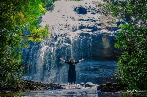 Places to Visit in Idukki - Anayadikuthu Waterfalls - Thommankuthu Idukki