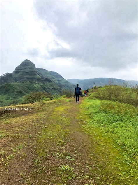 A day trek to Peb Fort - Vikatgad - Tripoto