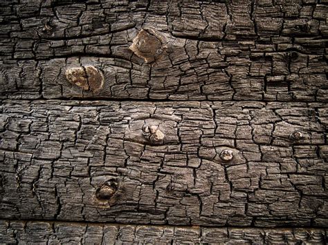 Burnt wood texture | Copyright-free photo (by M. Vorel) | LibreShot