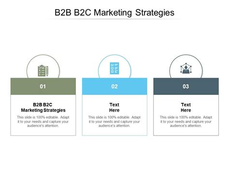 B2B B2C Marketing Strategies Ppt Powerpoint Presentation Pictures Slides Cpb | PowerPoint ...