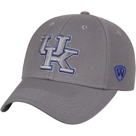 Kentucky Wildcats Top of the World Dynasty Fitted Hat - Gray