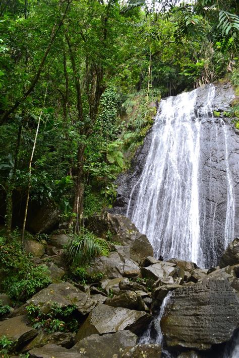 Puerto Rico: Visit a Rainforest Waterfall in El Yunque [La Coca] - Tiplr