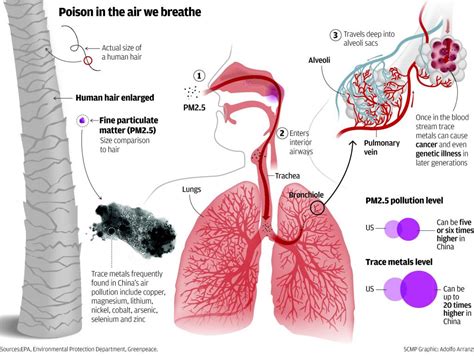 Particulate Matter 2.5 | AQI India