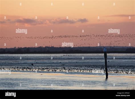 Sunset over Breydon Water, Norfolk Stock Photo - Alamy