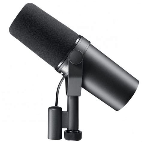 5 Best Dynamic Microphones for Recording Vocals in 2024 - Hollyland