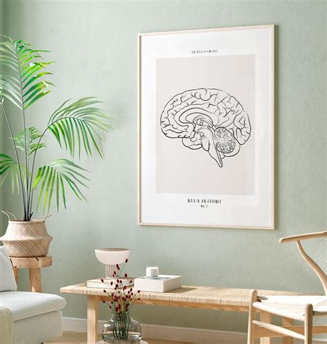 Brain anatomy - Line art print - Codex Anatomicus