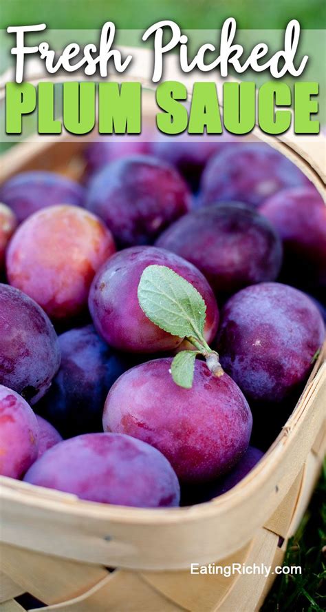 This easy Chinese plum sauce recipe cooks fresh plums with garlic, red ...