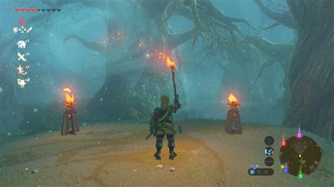 How To Get the Master Sword in ‘Legend of Zelda: Breath of the Wild’ | Fandom