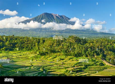 Gunung Agung Volcano and rice terraces field, Bali, Indonesia Stock ...