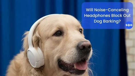 Will Noise-Cancelling Headphones Block Out Dog Barking? (Explained)