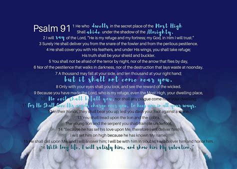 Psalm 91 - NIV - Your Daily Distraction