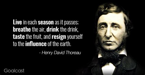 20 Amazing Henry David Thoreau Quotes That Serve as Life Lessons