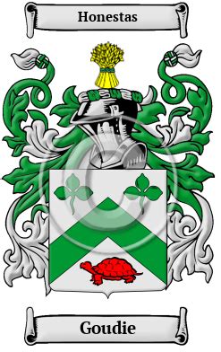 Goudie Name Meaning, Family History, Family Crest & Coats of Arms