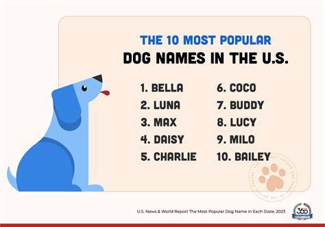 The most popular dog name in Virginia is… | WAVY.com