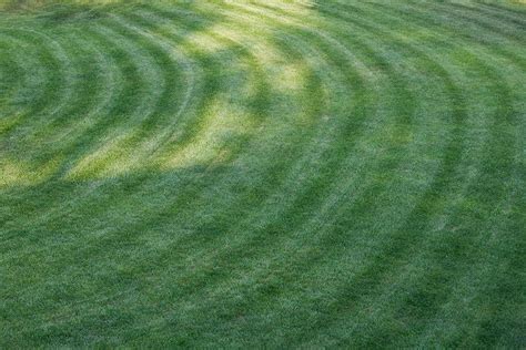 8 Common Lawn Mowing Patterns (With Pictures) | House Grail