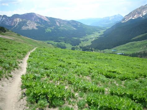 Wandering Colorado: June 21st - Summer Solstice