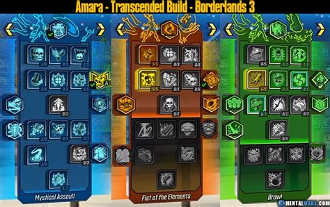 Amara - Transcended Build - Borderlands 3 » MentalMars