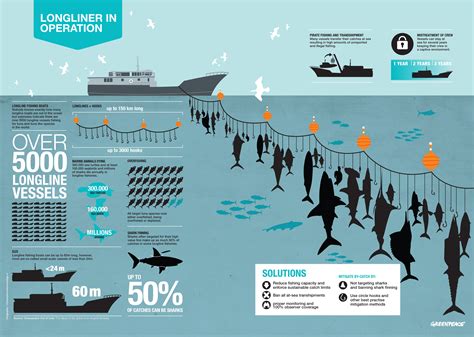 The "longline" of suffering and destruction. An infographic on the impact of longline tuna ...