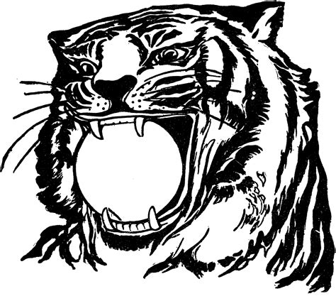 Free Tiger Coloring Pages