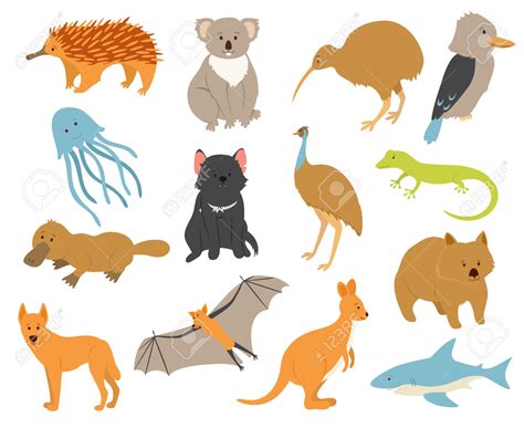 Native Australian Animals Clipart - Image to u