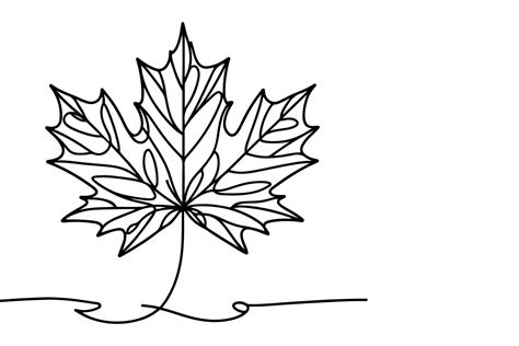 AI generated Continuous one black line drawing maple leaf icon outline ...