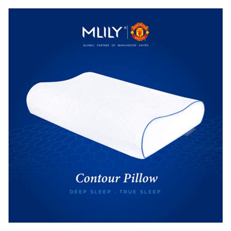 Mlily Memory Foam Pillow - Contour Model | PGMall