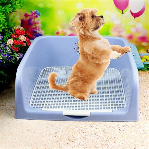 Potty Toilet Cleaning Dog Training Supplies Box Large Dog Litter Tray Mascotas Accessories Dogs ...